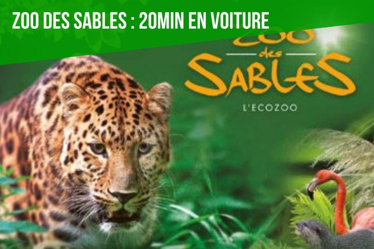 Lescottagesdelyxie Sport Et Nature * Talmont-Saint-Hilaire
